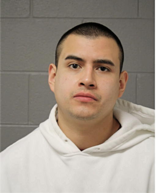 LUCAS ROCHEL, Cook County, Illinois