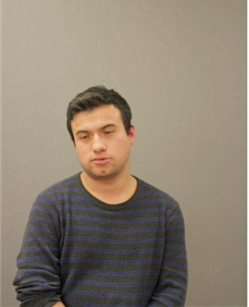 RODOLFO RODAS, Cook County, Illinois