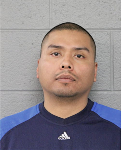 VICENTE VERGARA, Cook County, Illinois