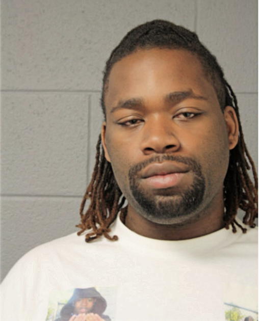ADAM WILSON, Cook County, Illinois