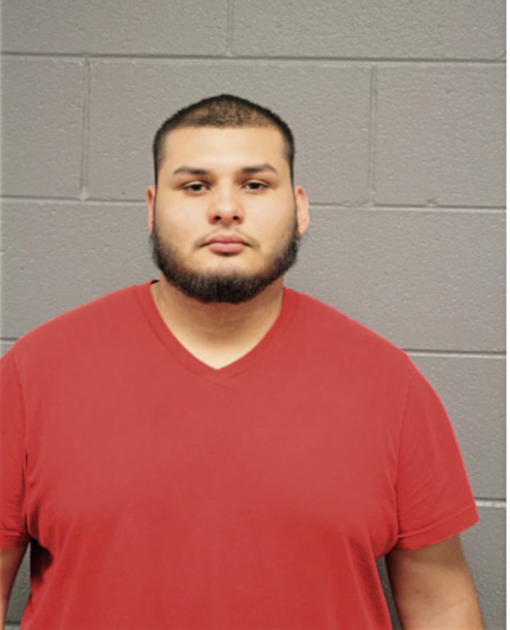 GILDARDO ZAVALA, Cook County, Illinois