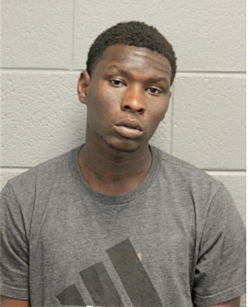 DAVID J ALLEN, Cook County, Illinois