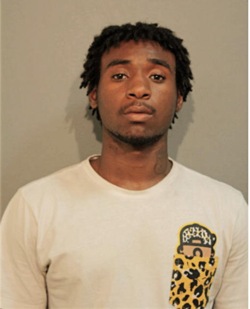 DESHAUNE M ALPHONSE, Cook County, Illinois