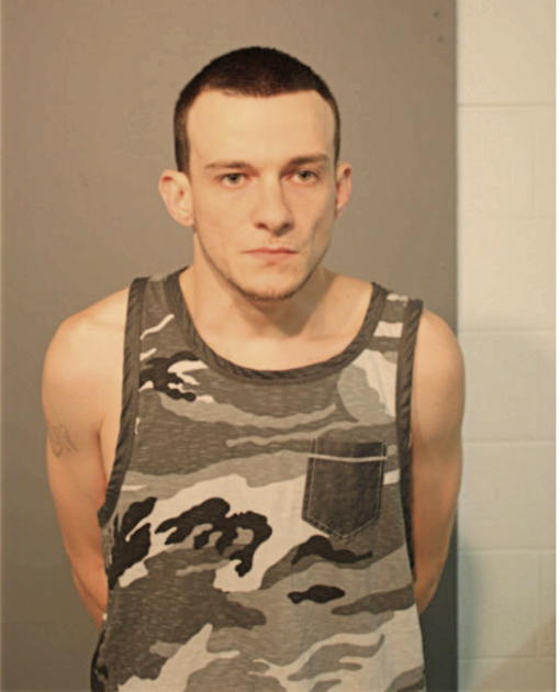 NICHOLAS P AMATO, Cook County, Illinois