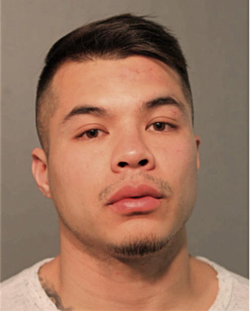 JAVIER ARTEAGA, Cook County, Illinois