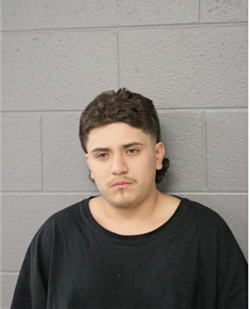 CESAR E BARRERA, Cook County, Illinois