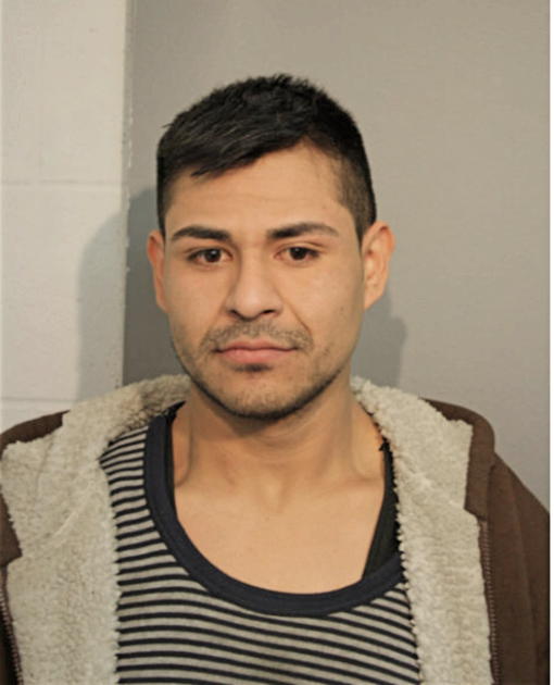 LUIS A BOYZO, Cook County, Illinois