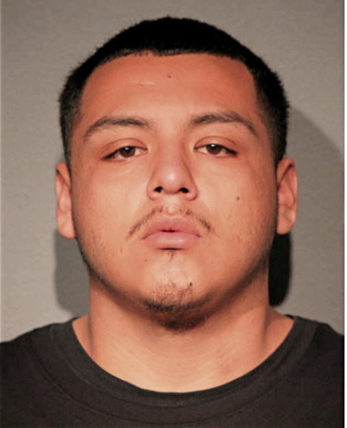 LUIS A CAMACHO, Cook County, Illinois