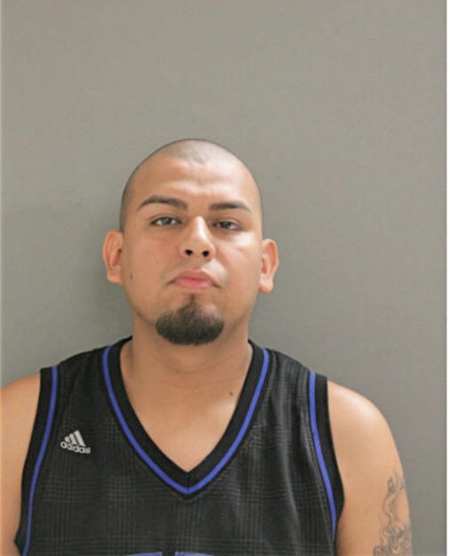 SALVADOR DELEON, Cook County, Illinois