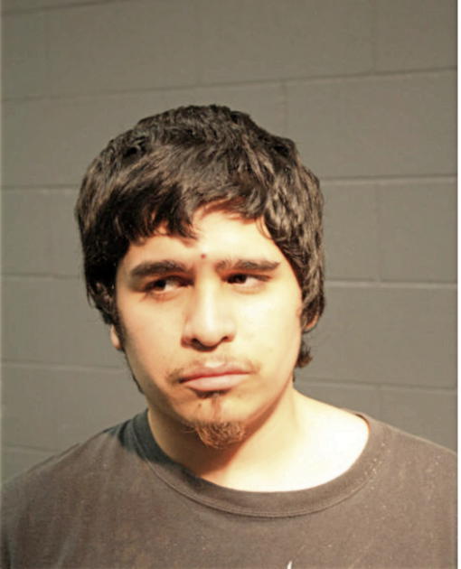 ALEJANDRO S DIAZ, Cook County, Illinois