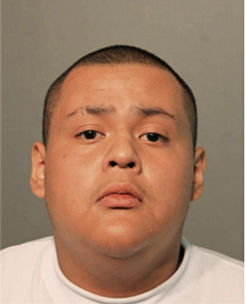 MARK A DIAZ, Cook County, Illinois