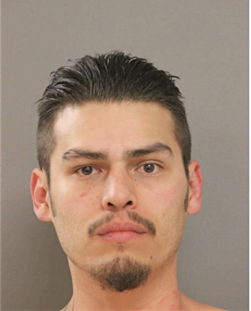 ALAN C FERNANDEZ, Cook County, Illinois