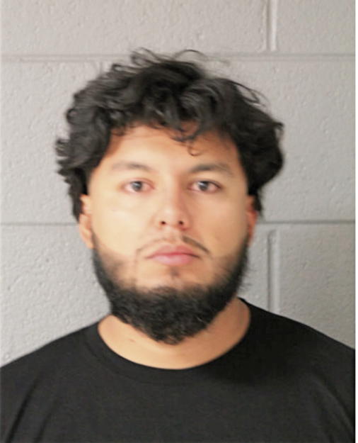 LUIS M GONZALEZ, Cook County, Illinois