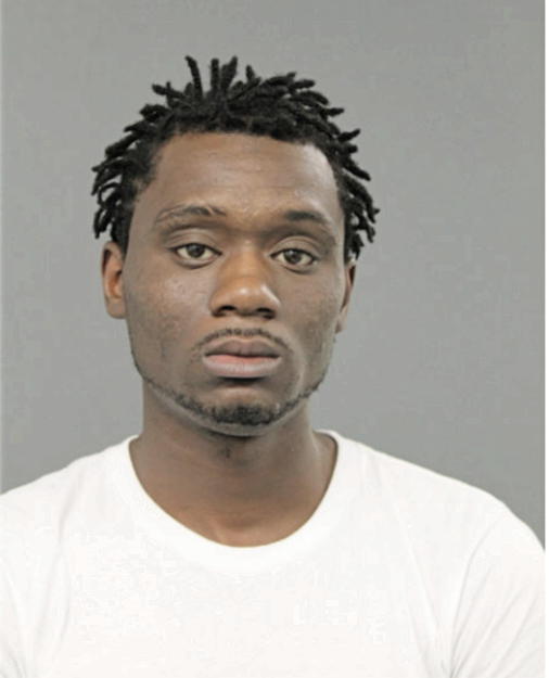 DERRICK D JOHNSON, Cook County, Illinois