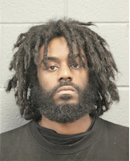 ANDY C LEWTER, Cook County, Illinois
