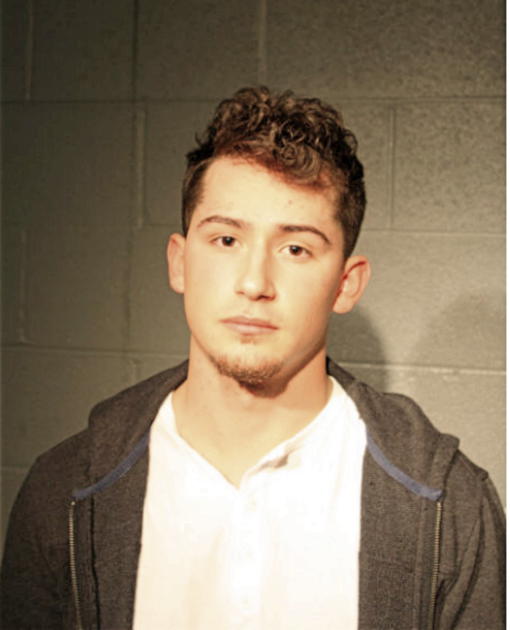 BRANDON L MARTINEZ, Cook County, Illinois