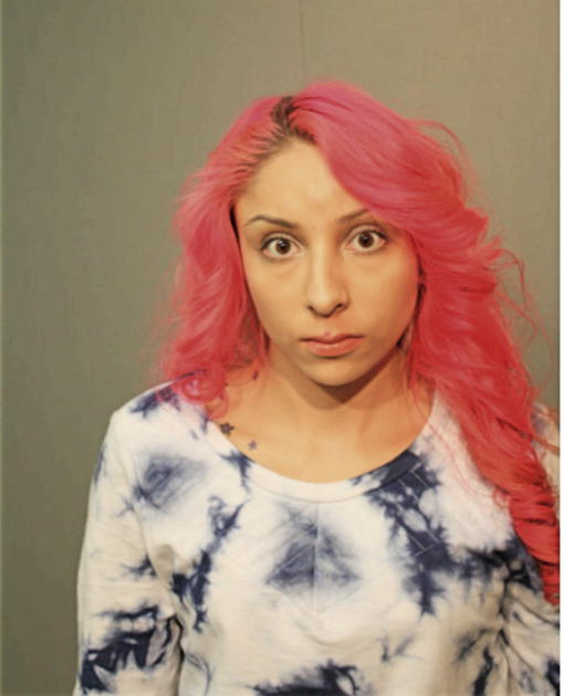 ESTRELLA M METOYER, Cook County, Illinois