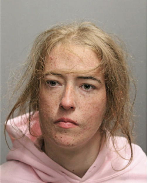NINA M NEWMAN, Cook County, Illinois
