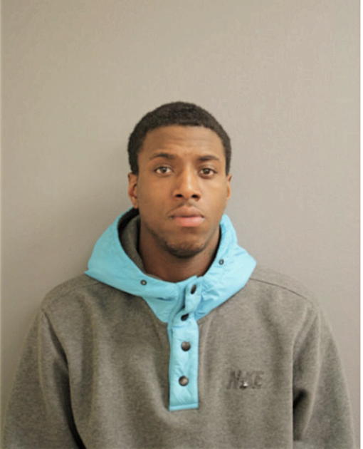 DARIUS C NICKELSON, Cook County, Illinois