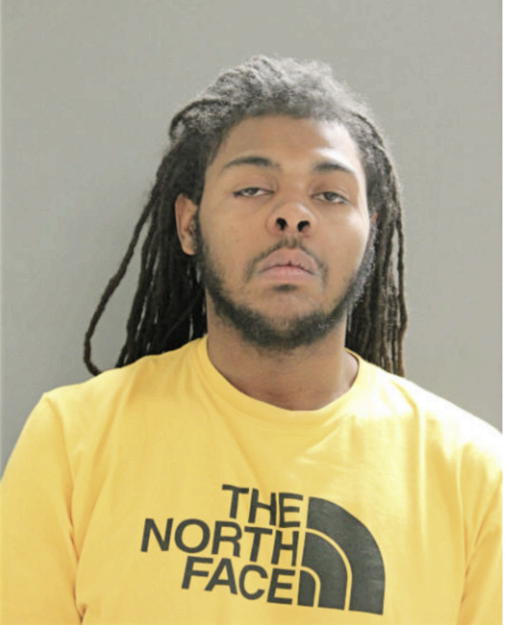 DARRYL D PAYNE, Cook County, Illinois