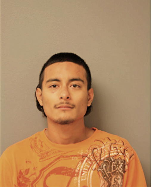 JUAN D RUIZ, Cook County, Illinois