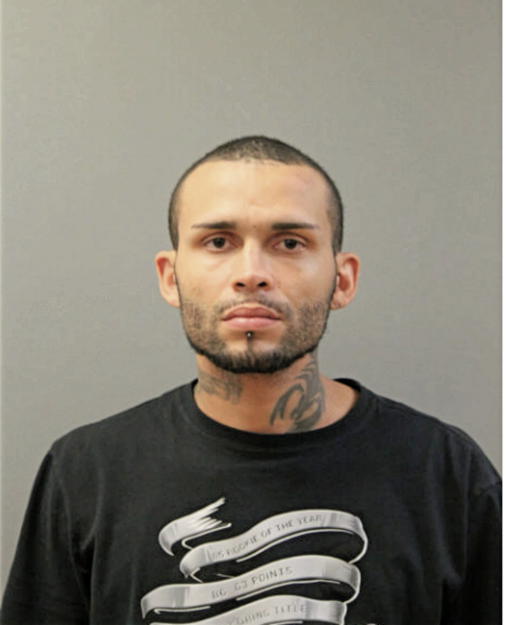 JOVANIE P SERRANO, Cook County, Illinois