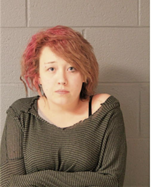 HEATHER B STANLEY, Cook County, Illinois