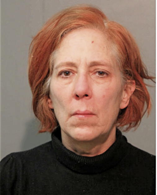LISA R TOLBERT, Cook County, Illinois