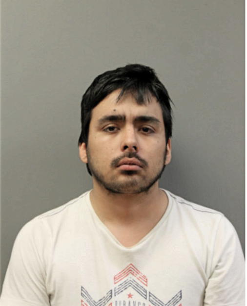 REGELIO TORRES, Cook County, Illinois