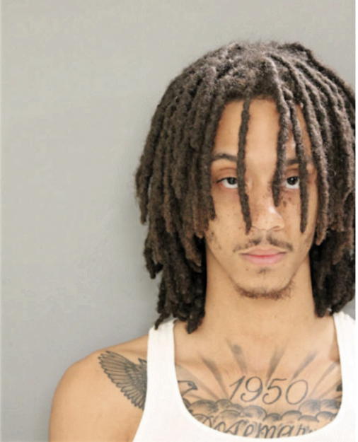 JUSTIN A WATSON, Cook County, Illinois