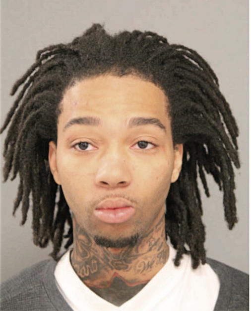 LIONEL P WILLIAMS, Cook County, Illinois