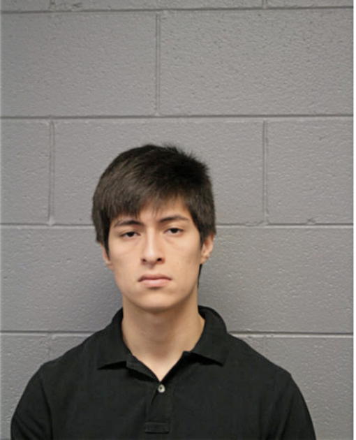 NOEL AYALA, Cook County, Illinois