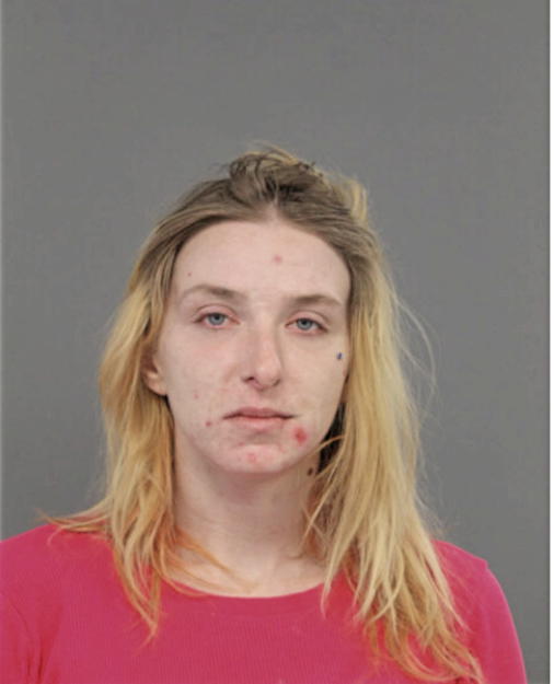 HALEY A BRINK, Cook County, Illinois