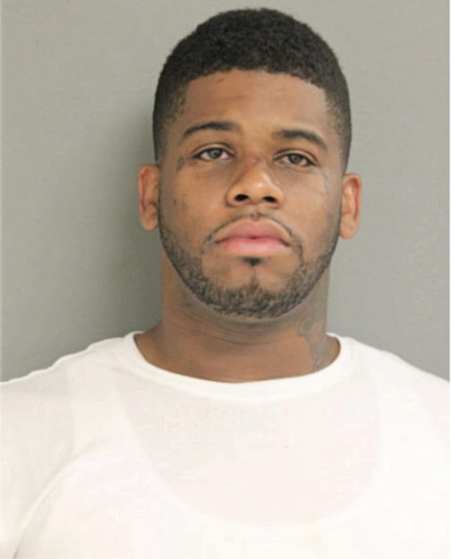 BRANDON M BROWN, Cook County, Illinois