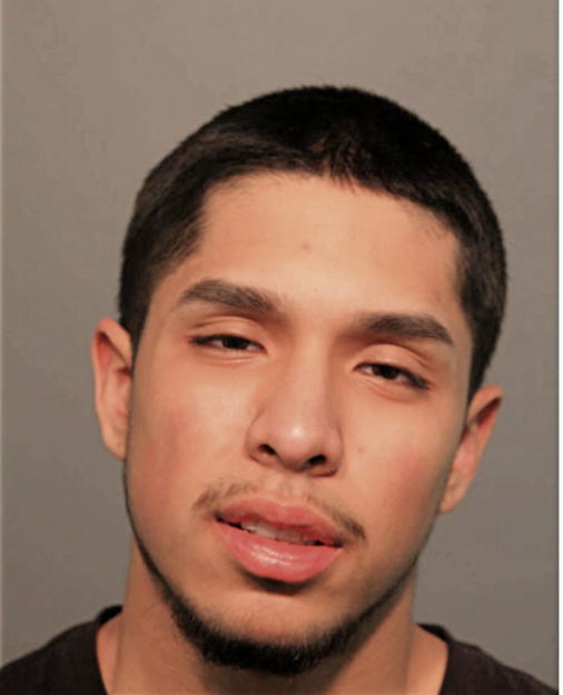 RAUL A ESCAMILLA, Cook County, Illinois