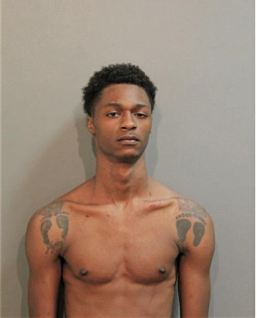 RUSSELL C FAIRCHILD, Cook County, Illinois