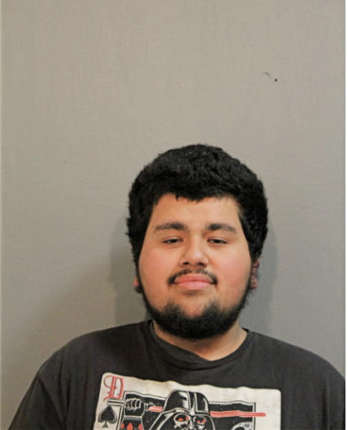 LUIS F FIGUEROA, Cook County, Illinois