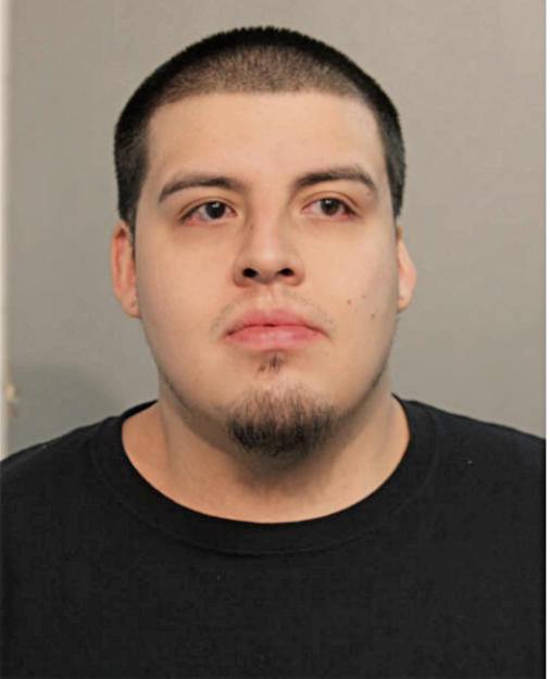 FERNANDO C GONZALEZ, Cook County, Illinois