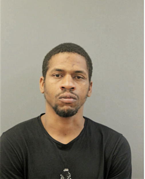 BRANDON J HOLDER, Cook County, Illinois