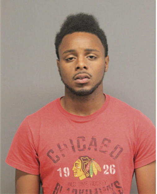 ANTHONY L JACKSON, Cook County, Illinois
