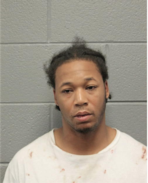 CARL J JENKINS, Cook County, Illinois