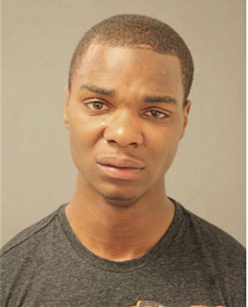 SEAN JOHNSON, Cook County, Illinois