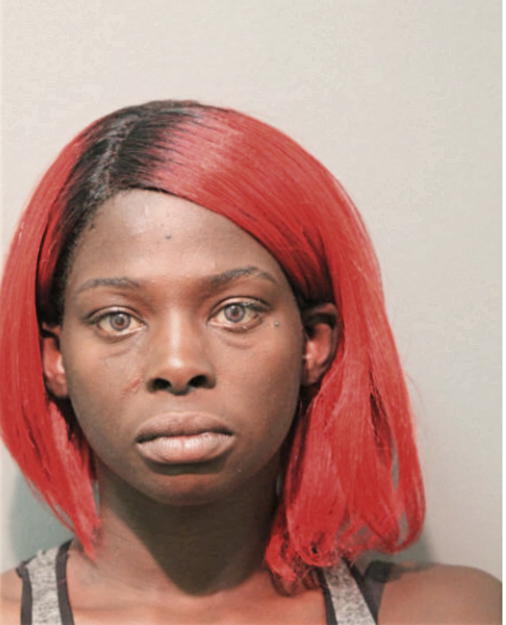 RACHEL D LEMMONS, Cook County, Illinois