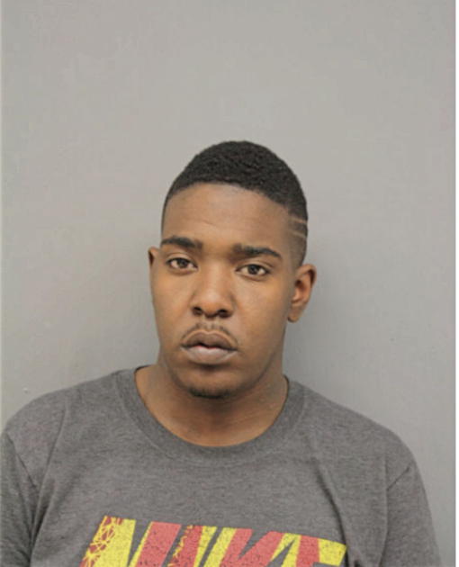 LARRY E MCGHEE, Cook County, Illinois