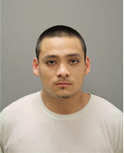 RALPH D MENDEZ, Cook County, Illinois