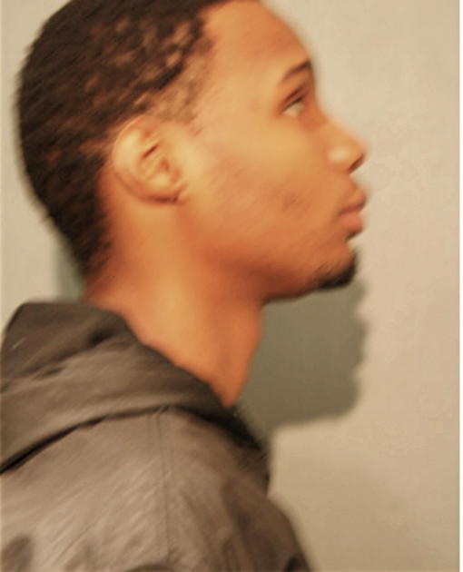 KEVIN A MITCHELL, Cook County, Illinois