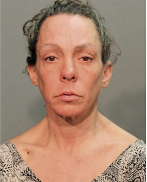 AMY J MOYLE, Cook County, Illinois