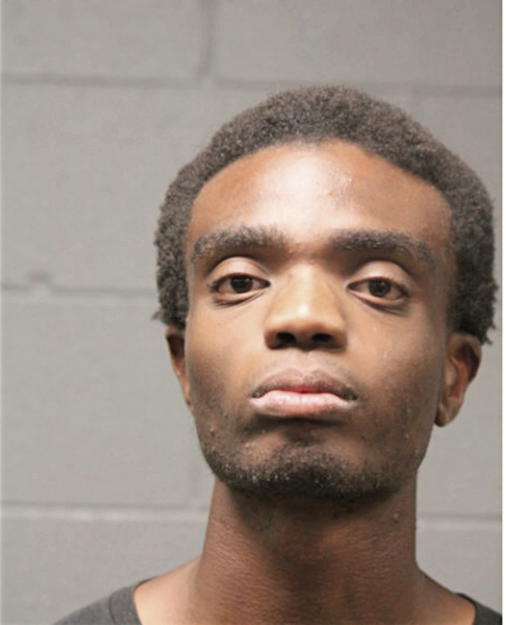 ABRAHAM J OIOYEDE, Cook County, Illinois