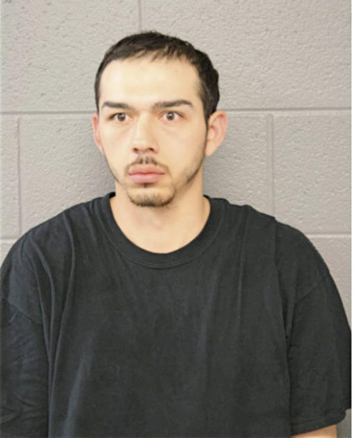 DAVID RENTERIA, Cook County, Illinois