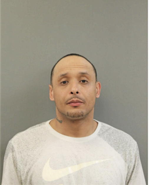 JOEY A RIMSCHNEIDER, Cook County, Illinois
